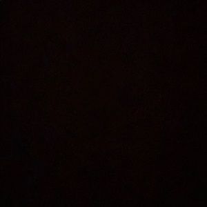 Meet your Posher, Janie